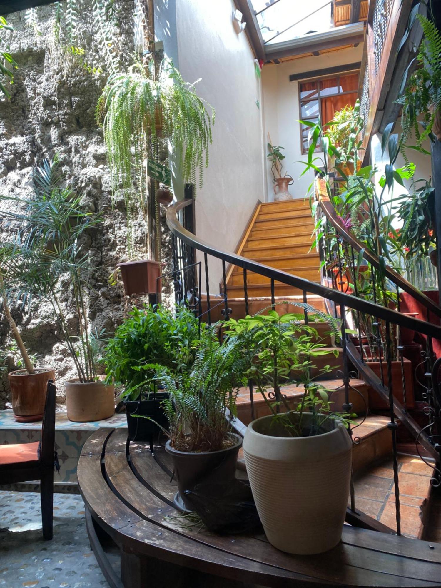 Hostal Restaurant La Cigale Cuenca Ngoại thất bức ảnh